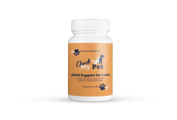 Cat Joint